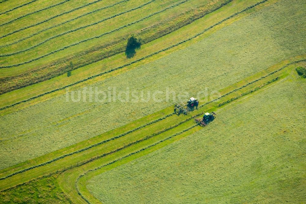 Luftbild Meschede - Ernteeinsatz auf landwirtschaftlichen Feldern in Meschede im Bundesland Nordrhein-Westfalen