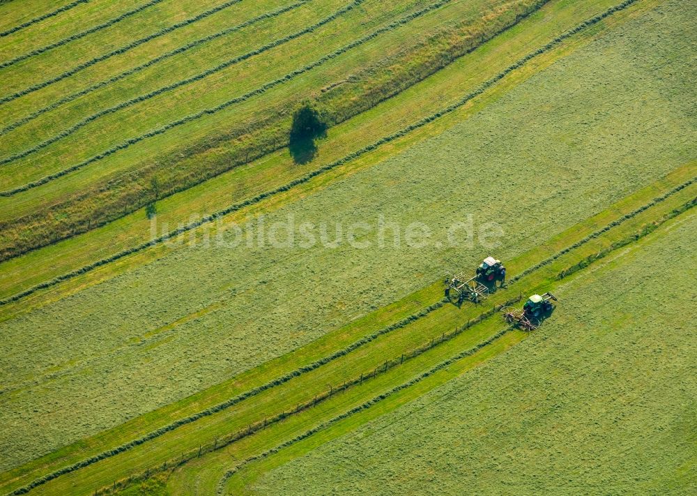 Luftaufnahme Meschede - Ernteeinsatz auf landwirtschaftlichen Feldern in Meschede im Bundesland Nordrhein-Westfalen