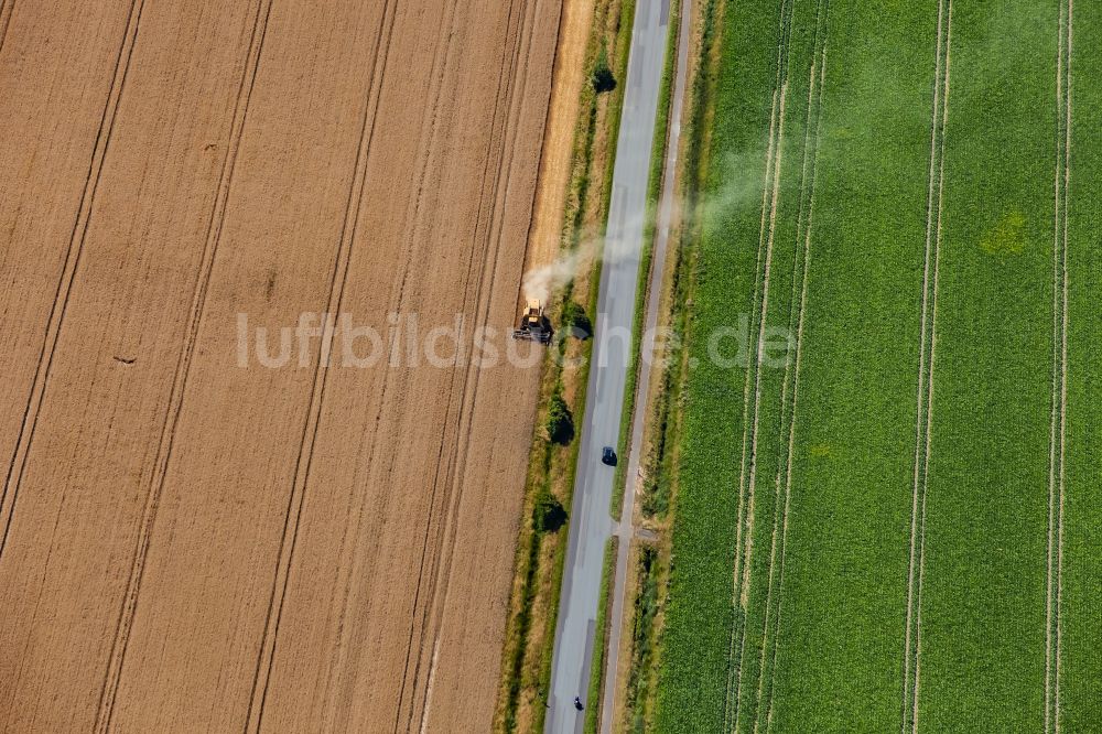 Luftaufnahme Nordstrand - Ernteeinsatz auf landwirtschaftlichen Feldern in Nordstrand im Bundesland Schleswig-Holstein, Deutschland