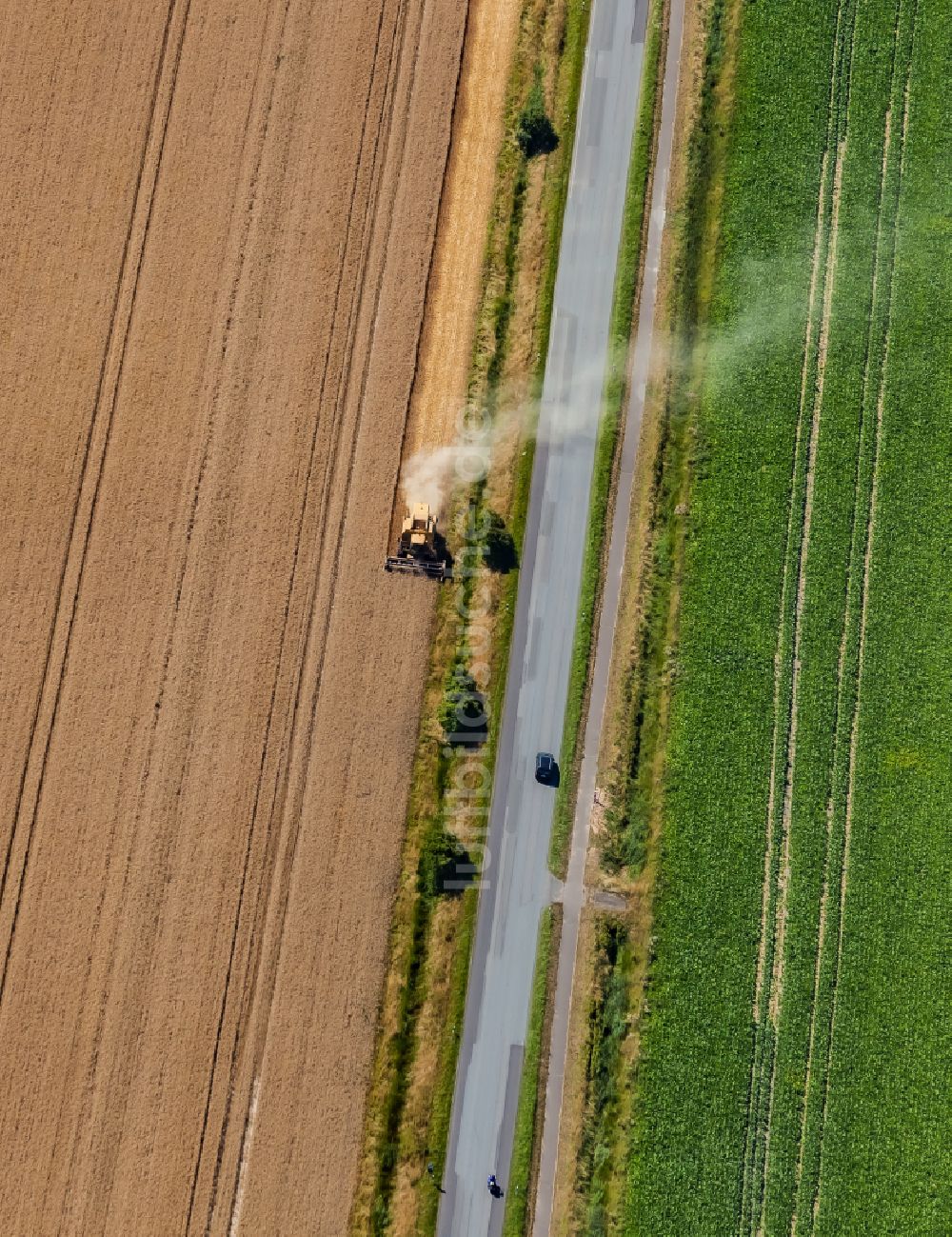 Nordstrand von oben - Ernteeinsatz auf landwirtschaftlichen Feldern in Nordstrand im Bundesland Schleswig-Holstein, Deutschland