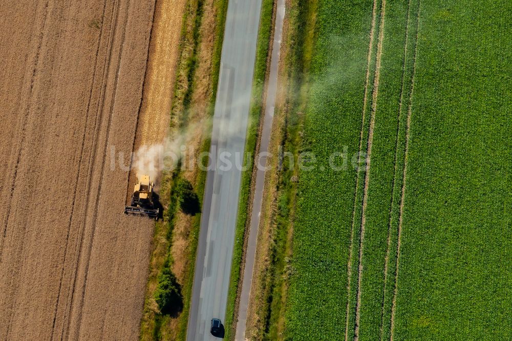 Luftbild Nordstrand - Ernteeinsatz auf landwirtschaftlichen Feldern in Nordstrand im Bundesland Schleswig-Holstein, Deutschland