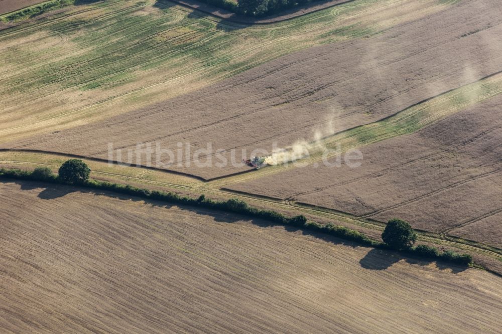 Kühren von oben - Ernteeinsatz auf landwirtschaftlichen Feldern im Ortsteil Kührsdorf in Kühren im Bundesland Schleswig-Holstein