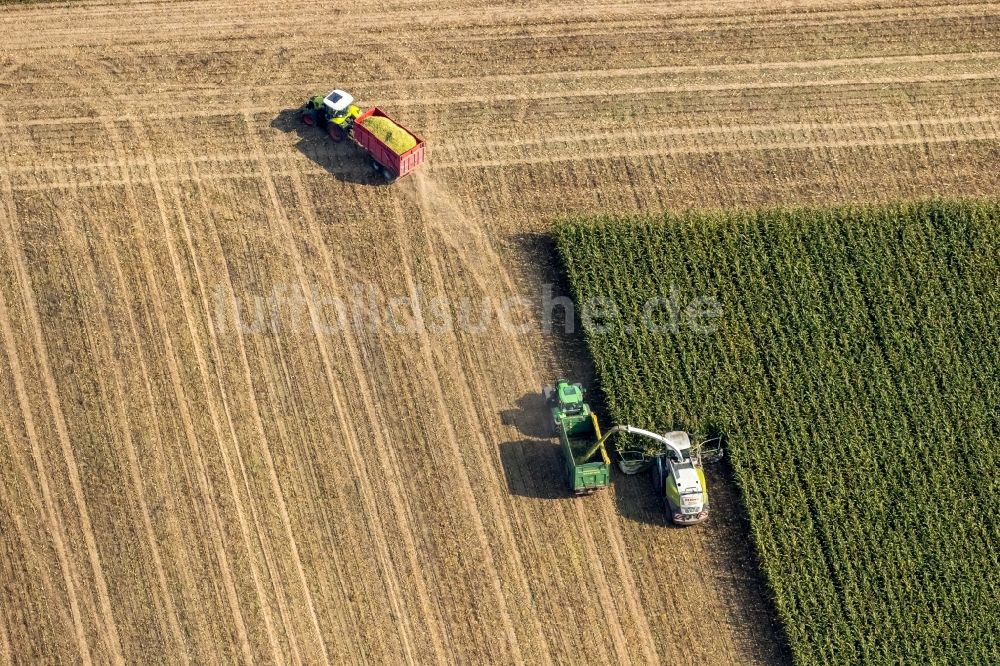 Luftbild Dortmund - Ernteeinsatz auf landwirtschaftlichen Feldern im Ortsteil Mengede in Dortmund im Bundesland Nordrhein-Westfalen