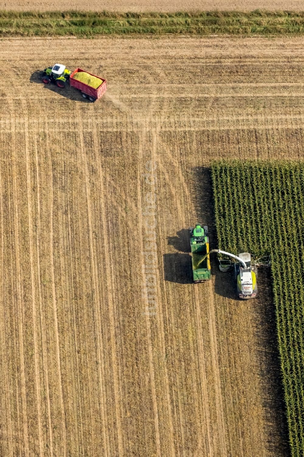 Luftaufnahme Dortmund - Ernteeinsatz auf landwirtschaftlichen Feldern im Ortsteil Mengede in Dortmund im Bundesland Nordrhein-Westfalen