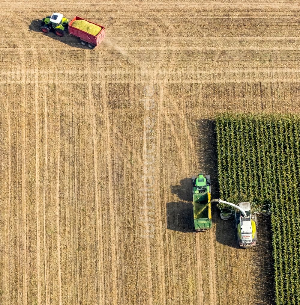 Dortmund von oben - Ernteeinsatz auf landwirtschaftlichen Feldern im Ortsteil Mengede in Dortmund im Bundesland Nordrhein-Westfalen