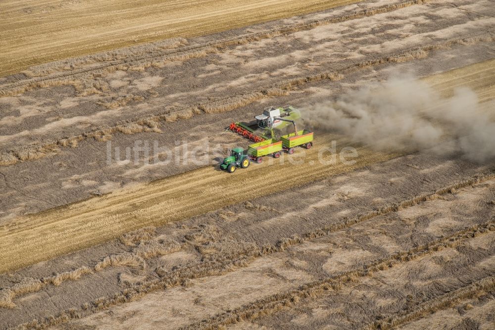 Planetal aus der Vogelperspektive: Ernteeinsatz auf landwirtschaftlichen Feldern in Planetal im Bundesland Brandenburg, Deutschland