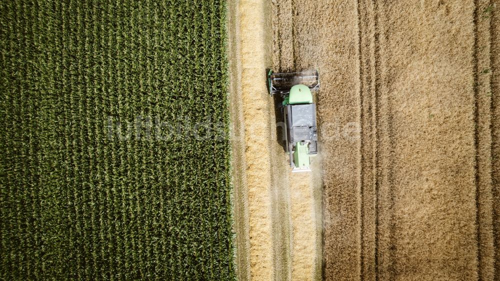 Luftbild Recklinghausen - Ernteeinsatz auf landwirtschaftlichen Feldern in Recklinghausen im Bundesland Nordrhein-Westfalen, Deutschland