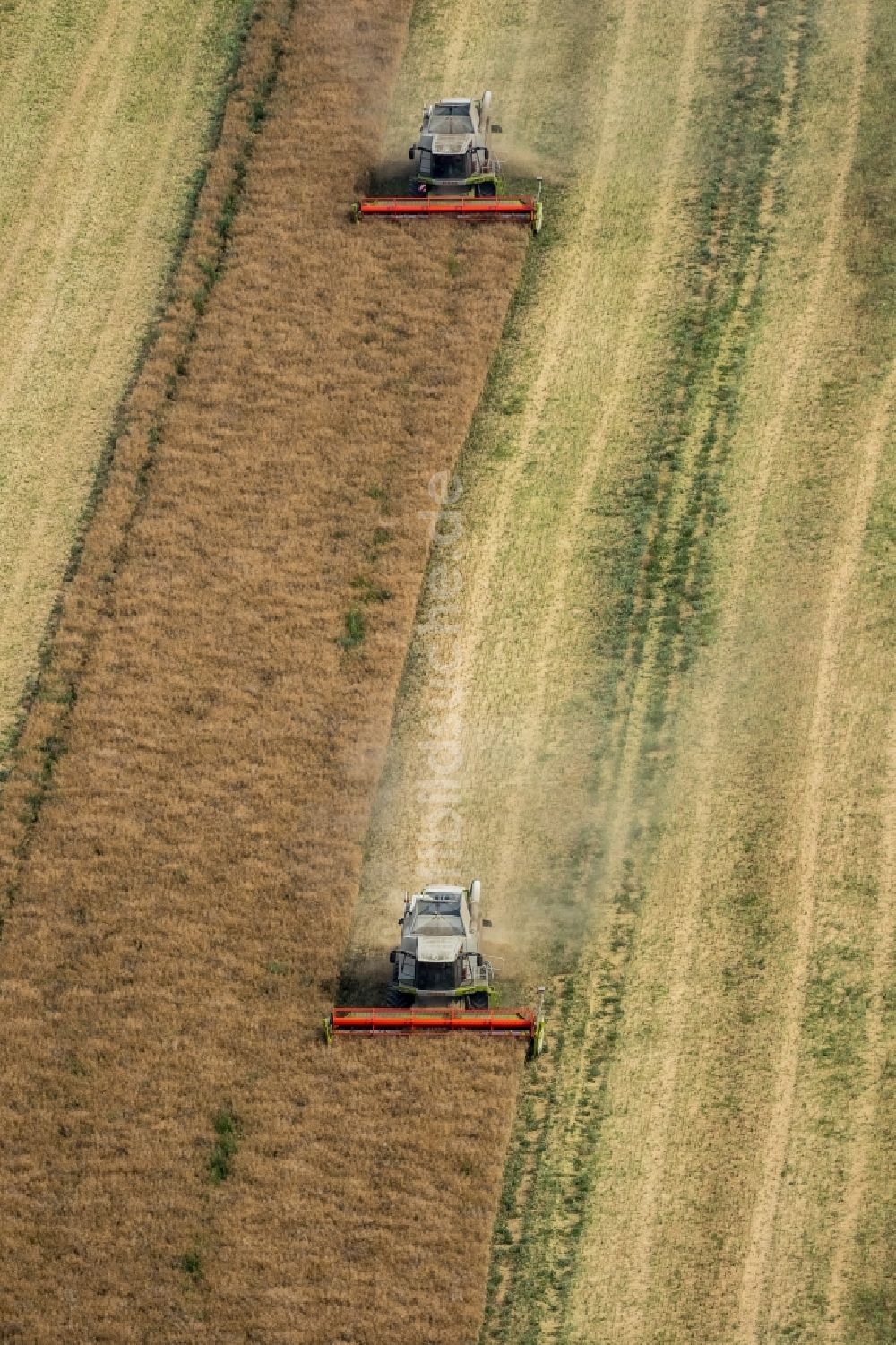 Vipperow aus der Vogelperspektive: Ernteeinsatz auf landwirtschaftlichen Feldern in Vipperow im Bundesland Mecklenburg-Vorpommern