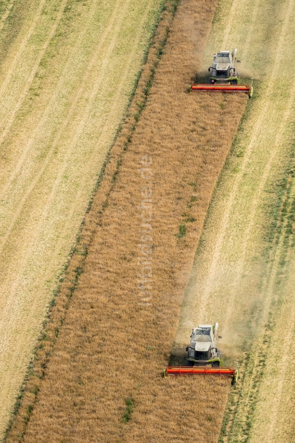 Luftbild Vipperow - Ernteeinsatz auf landwirtschaftlichen Feldern in Vipperow im Bundesland Mecklenburg-Vorpommern