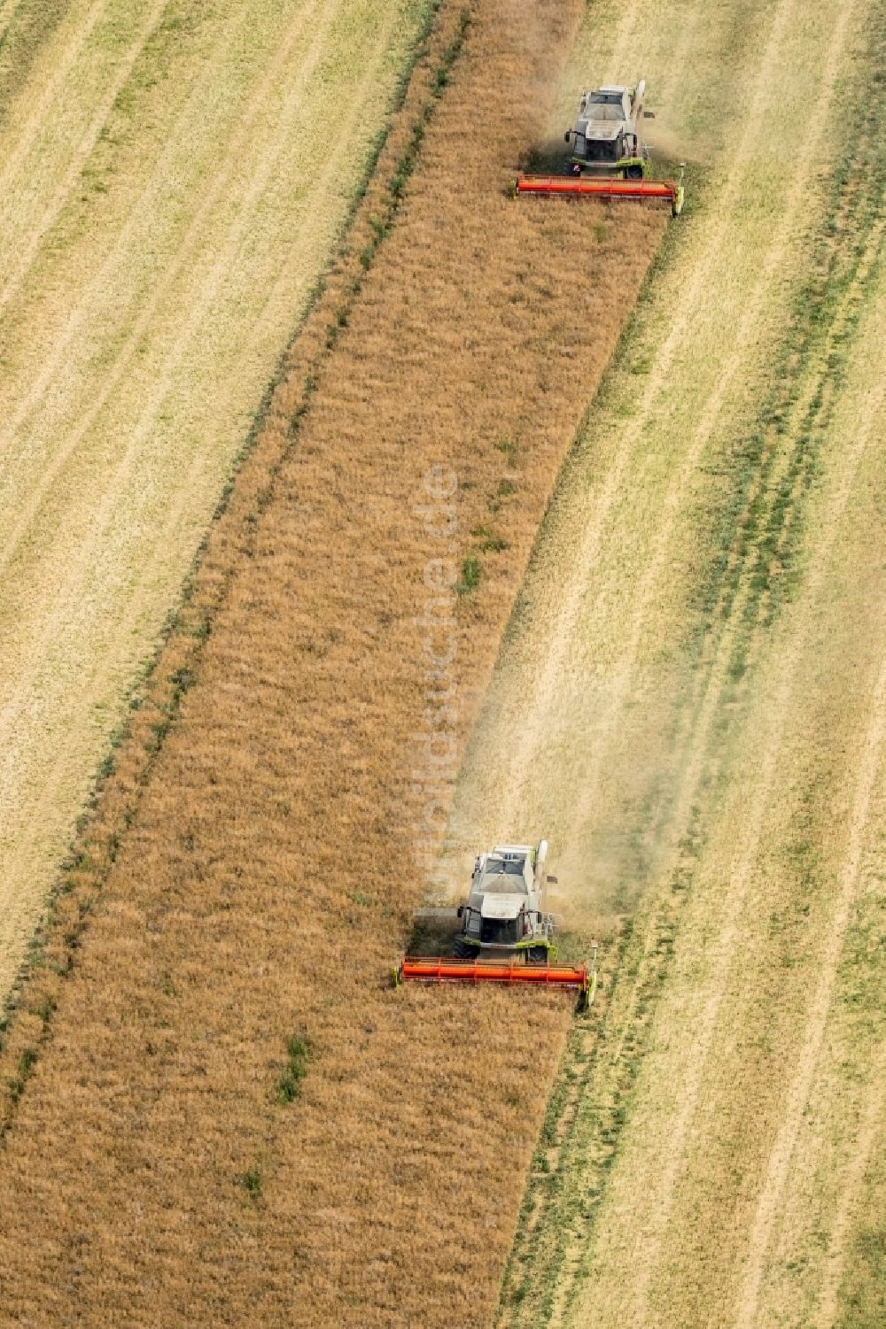 Luftaufnahme Vipperow - Ernteeinsatz auf landwirtschaftlichen Feldern in Vipperow im Bundesland Mecklenburg-Vorpommern