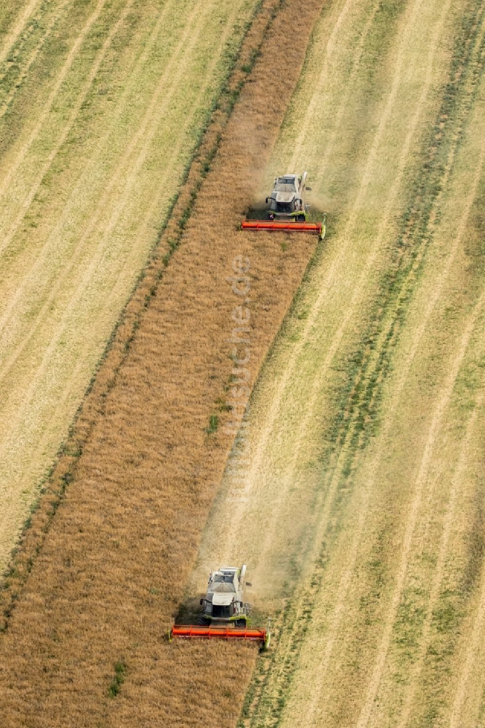 Vipperow von oben - Ernteeinsatz auf landwirtschaftlichen Feldern in Vipperow im Bundesland Mecklenburg-Vorpommern