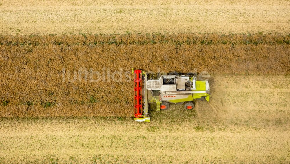 Vipperow aus der Vogelperspektive: Ernteeinsatz auf landwirtschaftlichen Feldern in Vipperow im Bundesland Mecklenburg-Vorpommern