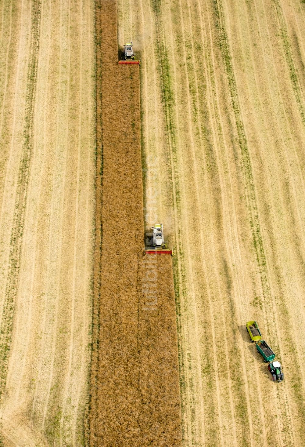 Luftaufnahme Vipperow - Ernteeinsatz auf landwirtschaftlichen Feldern in Vipperow im Bundesland Mecklenburg-Vorpommern