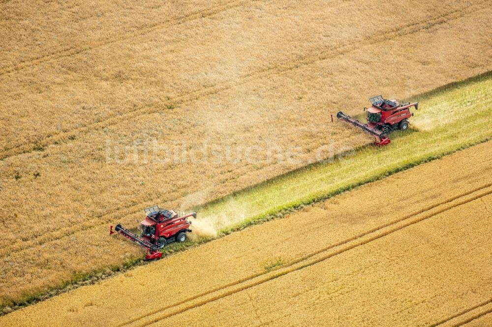 Vipperow aus der Vogelperspektive: Ernteeinsatz auf landwirtschaftlichen Feldern in Vipperow im Bundesland Mecklenburg-Vorpommern