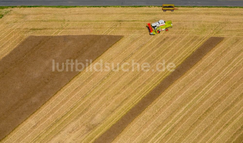 Luftaufnahme Warstein - Ernteeinsatz auf landwirtschaftlichen Feldern in Warstein im Bundesland Nordrhein-Westfalen