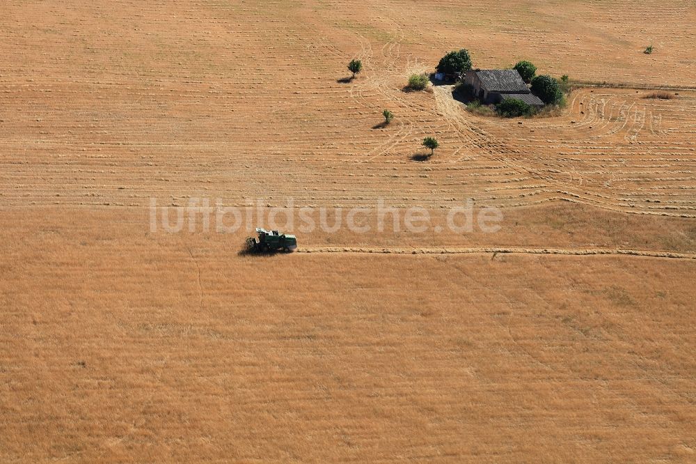 Manacor von oben - Ernteeinsatz mit Traktor auf landwirtschaftlichen Feldern in Manacor in Mallorca auf der balearischen Mittelmeerinsel Mallorca, Spanien