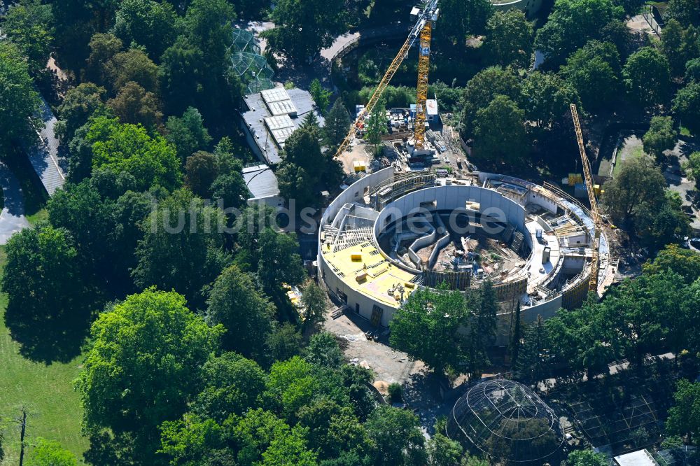 Dresden von oben - Erweiterungs- Baustelle am Tierzucht- Gehege Orang-Utan- Haus in Dresden im Bundesland Sachsen, Deutschland