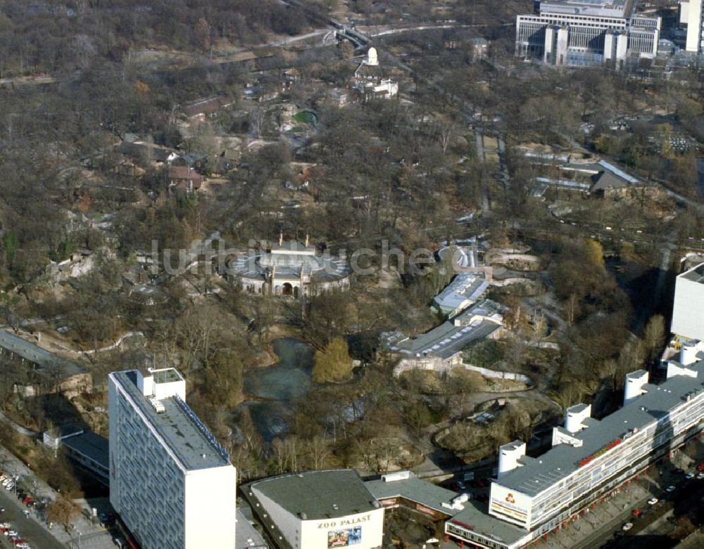 Luftaufnahme Berlin - Charlottenburg - Erweiterungsbau auf dem Gelände des Berliner Zoo`s in Berlin Charlottenburg