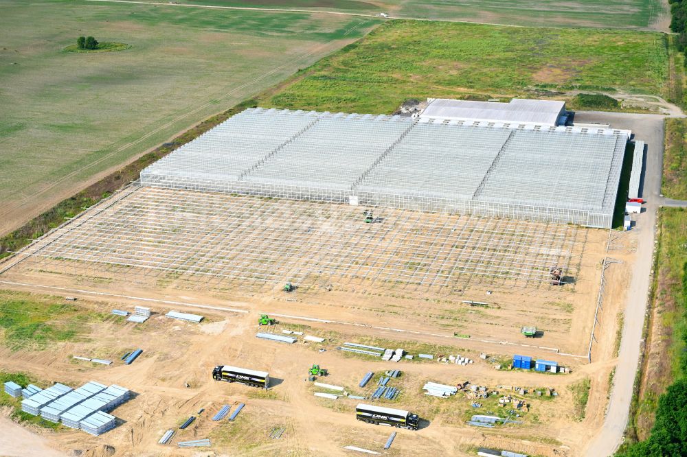 Neu-Schwante aus der Vogelperspektive: Erweiterungsbaustelle derGewächshausreihen der SL Gartenbau GmbH in Neu-Schwante im Bundesland Brandenburg, Deutschland