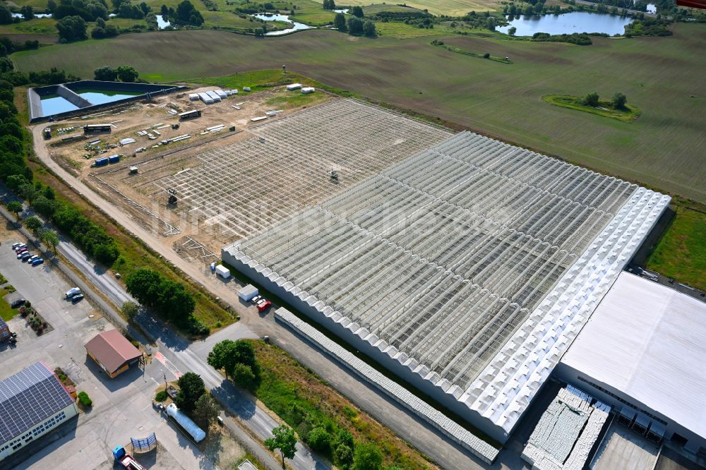 Luftaufnahme Neu-Schwante - Erweiterungsbaustelle derGewächshausreihen der SL Gartenbau GmbH in Neu-Schwante im Bundesland Brandenburg, Deutschland