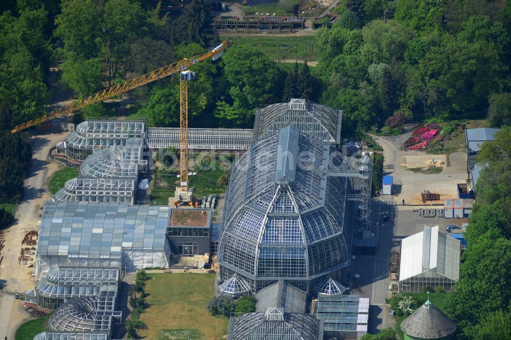 Berlin aus der Vogelperspektive: Erweiterungsbaustelle mit Umbaurabeiten am Tropenhaus im Botanischen Garten im Bezirk Steglitz-Zehlendorf Berlin