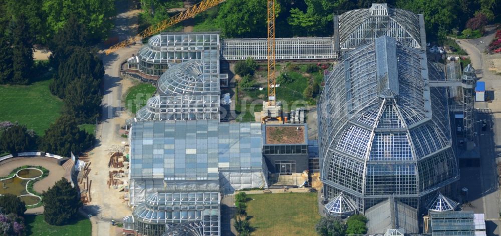 Berlin von oben - Erweiterungsbaustelle mit Umbaurabeiten am Tropenhaus im Botanischen Garten im Bezirk Steglitz-Zehlendorf Berlin