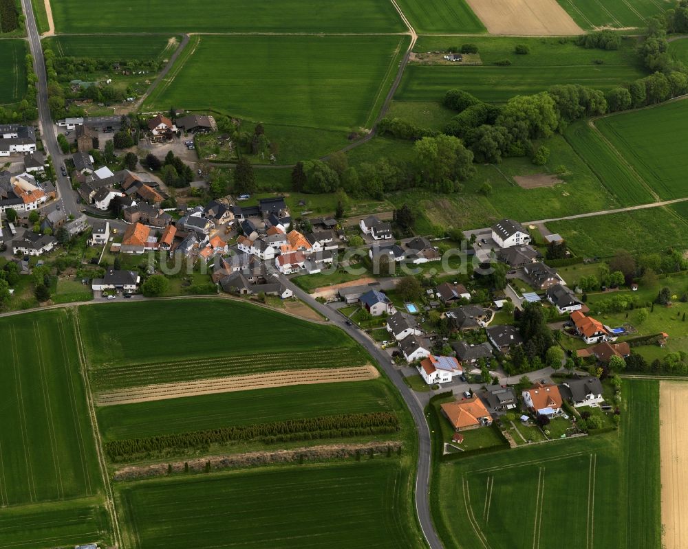 Grafschaft von oben - Esche in Grafschaft im Bundesland Rheinland-Pfalz