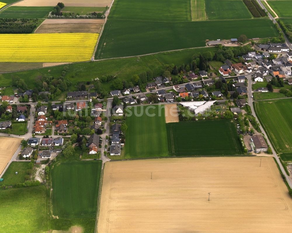 Grafschaft aus der Vogelperspektive: Esche in Grafschaft im Bundesland Rheinland-Pfalz