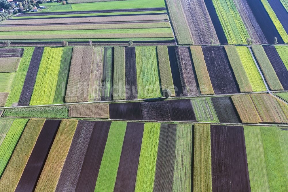 Ehekirchen von oben - Farbige Feldreihen- Landschaft am Donaumoos bei Ehekirchen im Bundesland Bayern