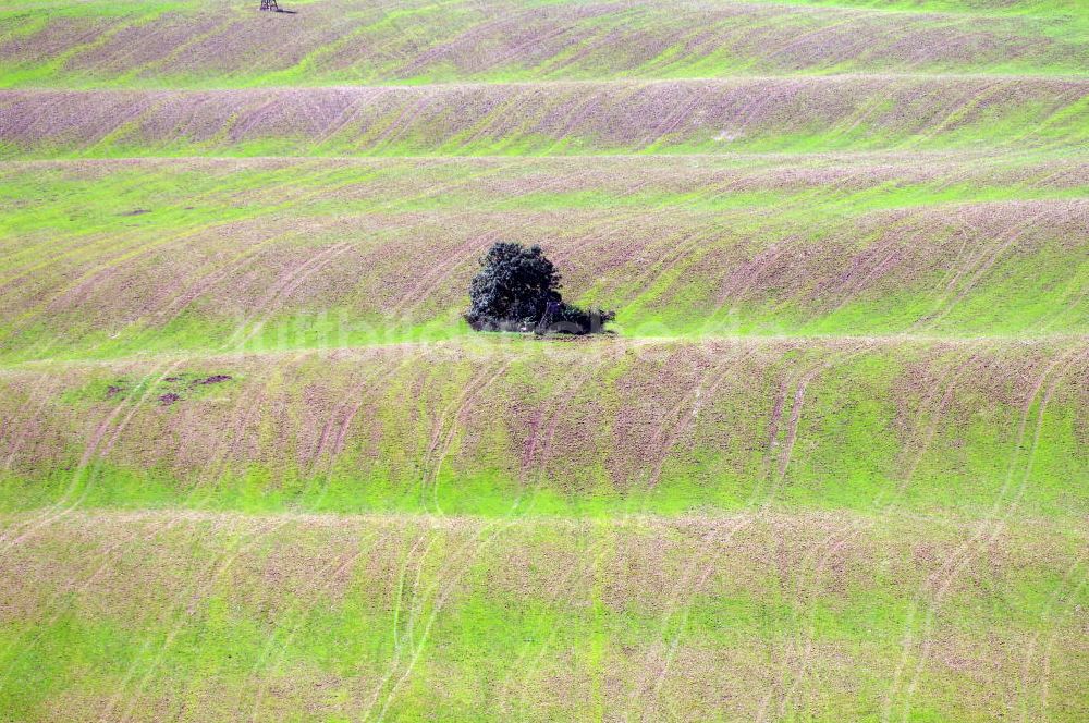 Luftaufnahme Basedow - Feld