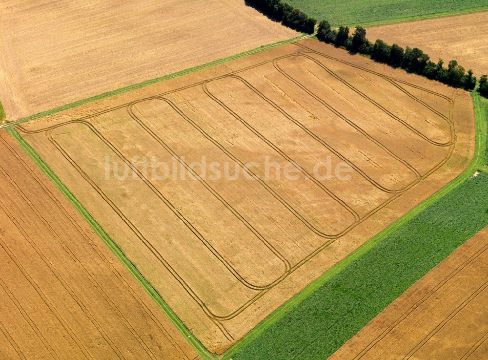 Münstermaifeld von oben - Feld- und Baumstrukturen bei Münstermaifeld im Bundesland Rheinland-Pfalz