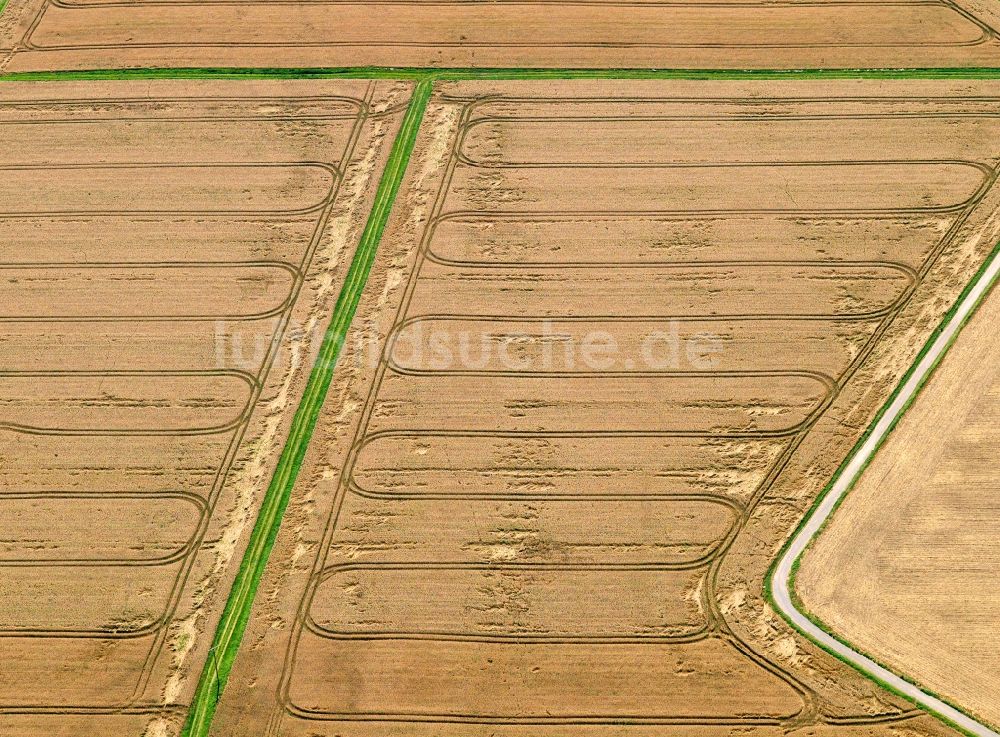 Münstermaifeld aus der Vogelperspektive: Feld- und Baumstrukturen bei Münstermaifeld im Bundesland Rheinland-Pfalz