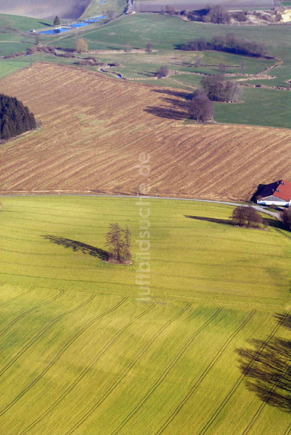 Aichach / OT Gallenbach aus der Vogelperspektive: Feld bei Aichach im Ortsteil Gallenbach