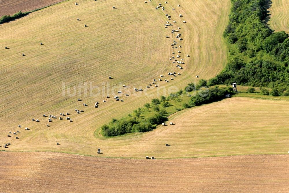 Kranichfeld von oben - Feld bei Kranichfeld im Bundesland Thüringen