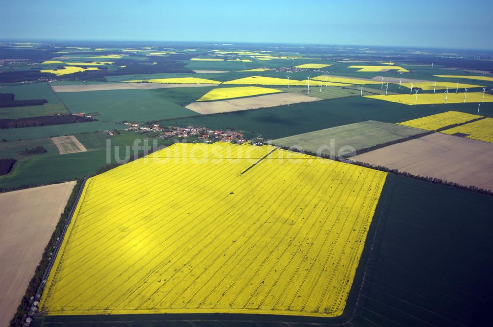 Schönefeld aus der Vogelperspektive: Feld bei Schönefeld