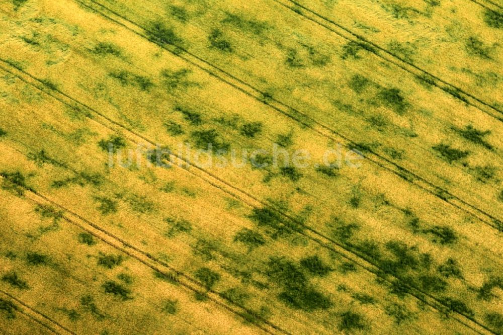 Luftbild Sprötau - Feld bei Sprötau im Bundesland Thüringen