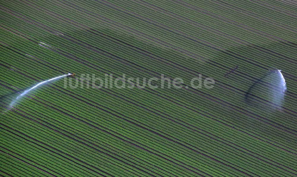 Luftaufnahme Reinbek - Feld- Bewässerung im Sommer bei Reinbek im Bundesland Schleswig-Holstein