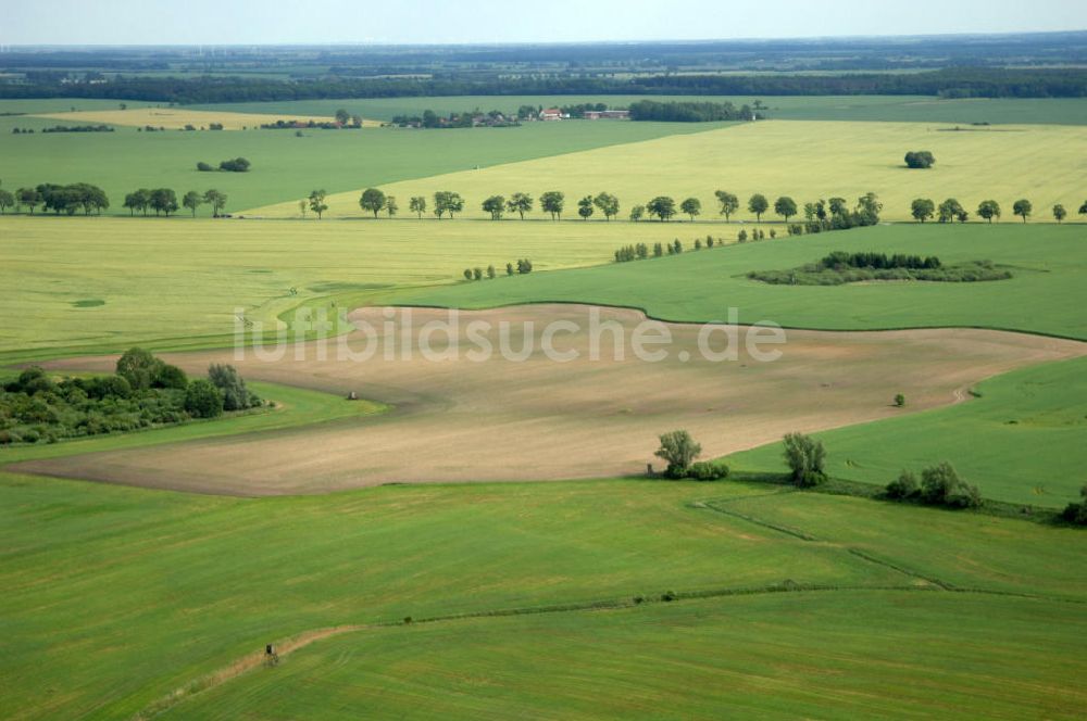 Poggendorf aus der Vogelperspektive: Feld / field bei Poggendorf