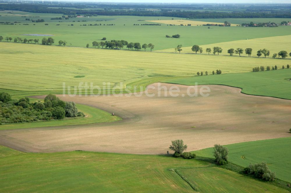 Luftbild Poggendorf - Feld / field bei Poggendorf