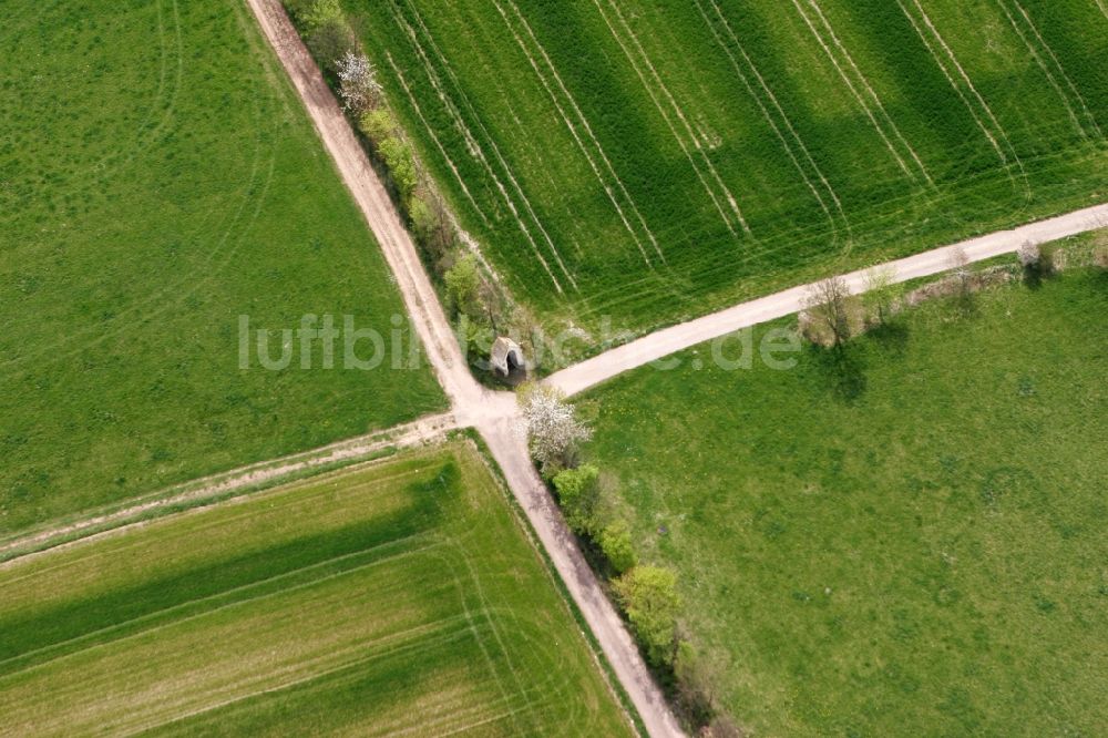 Trier Tarforst aus der Vogelperspektive: Feld mit Kreuzung im Stadtteil Tarforst von Trier im Bundesland Rheinland-Pfalz