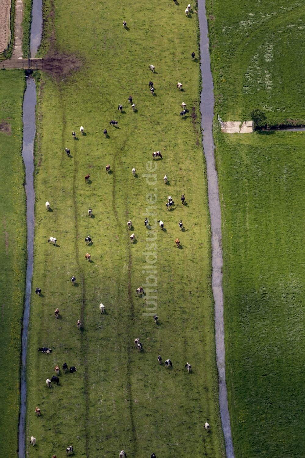 Naarden von oben - Feld- Landschaft mit Bewässerungsgräben bei Naarden in Nordholland - Niederlanden