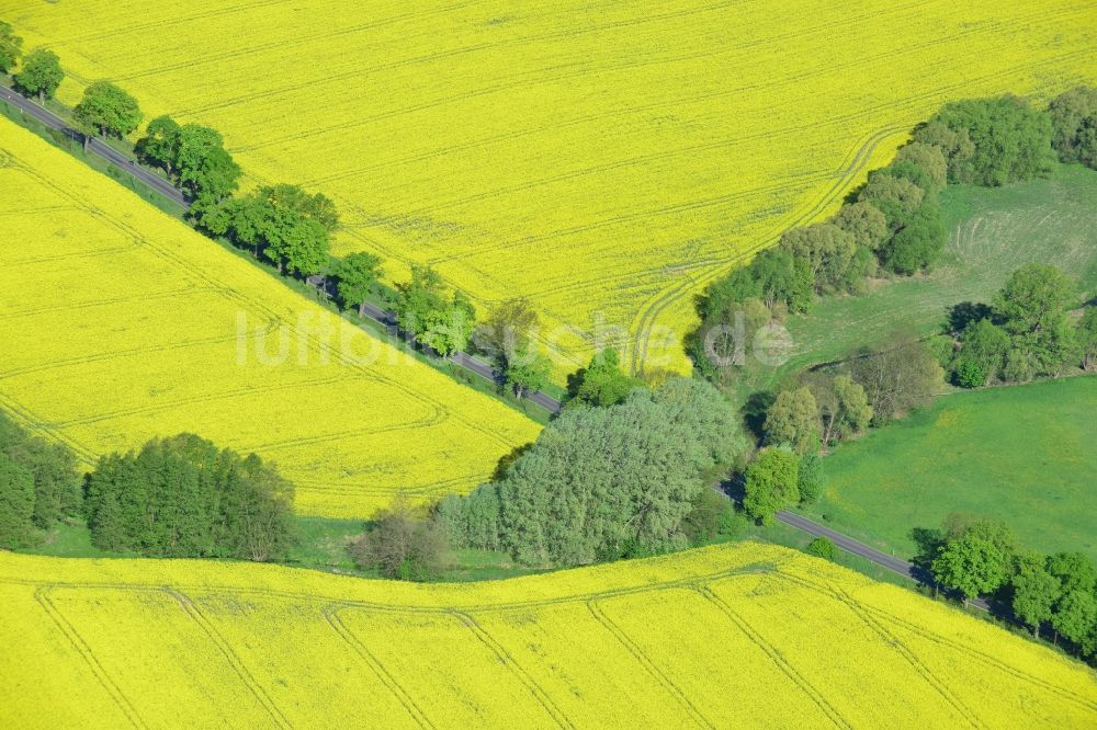 Altlandsberg von oben - Feld- Landschaft gelb blühender Raps- Blüten in Altlandsberg im Bundesland Brandenburg