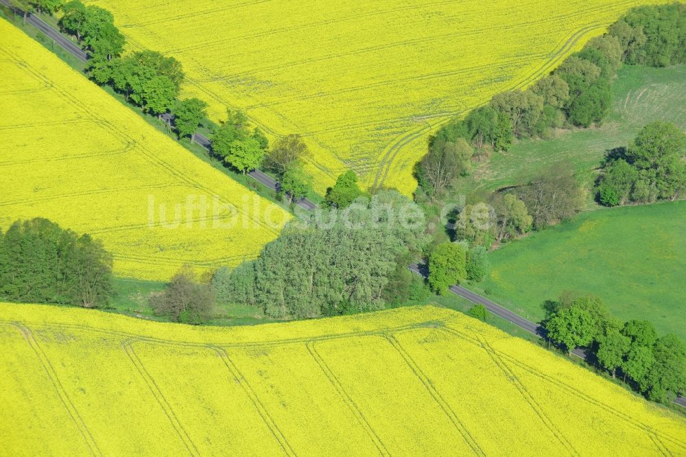 Altlandsberg aus der Vogelperspektive: Feld- Landschaft gelb blühender Raps- Blüten in Altlandsberg im Bundesland Brandenburg