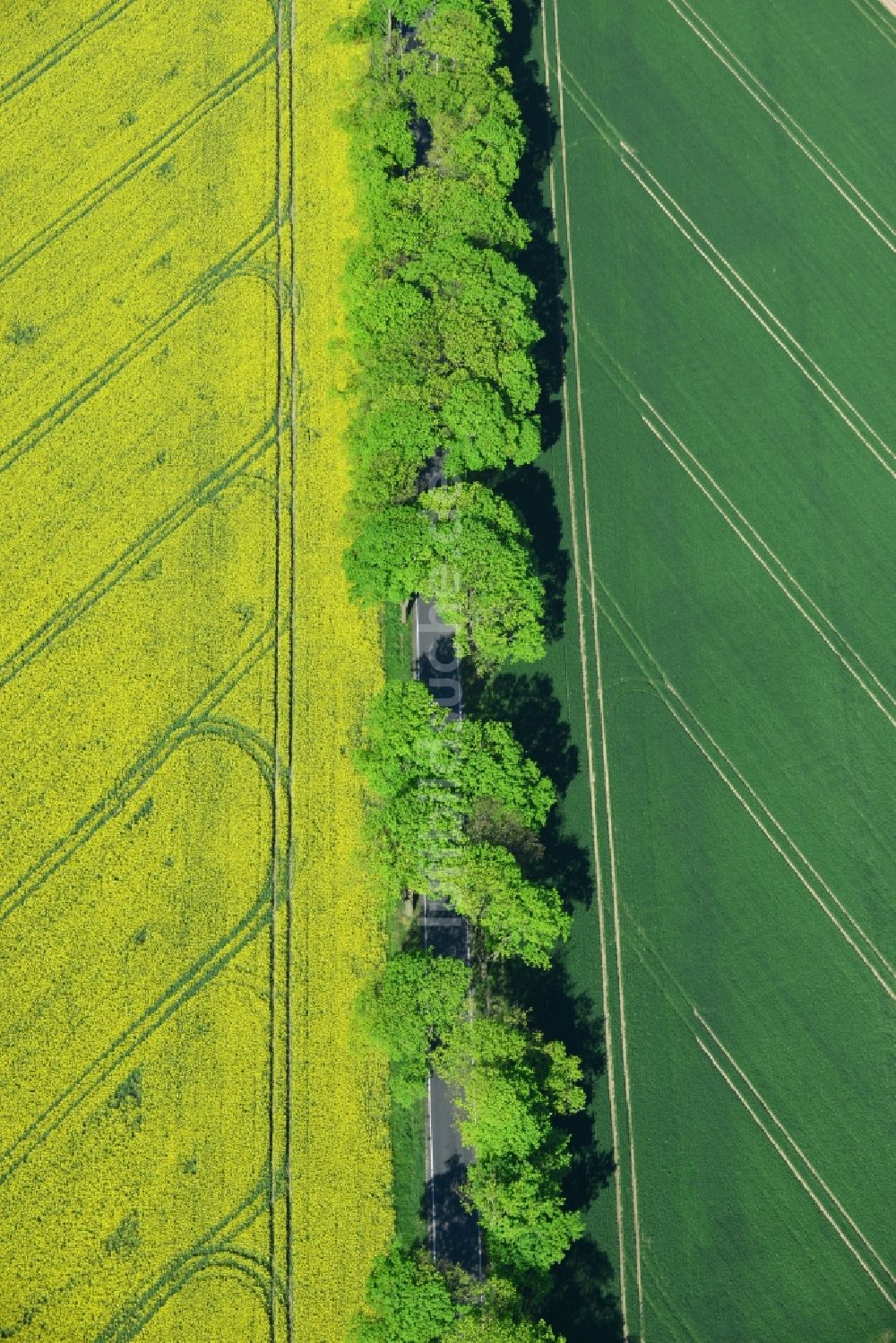 Luftaufnahme Altlandsberg - Feld- Landschaft gelb blühender Raps- Blüten in Altlandsberg im Bundesland Brandenburg