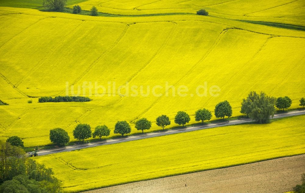 Luftbild Erkrath - Feld- Landschaft gelb blühender Raps- Blüten bei Erkrath im Bundesland Nordrhein-Westfalen