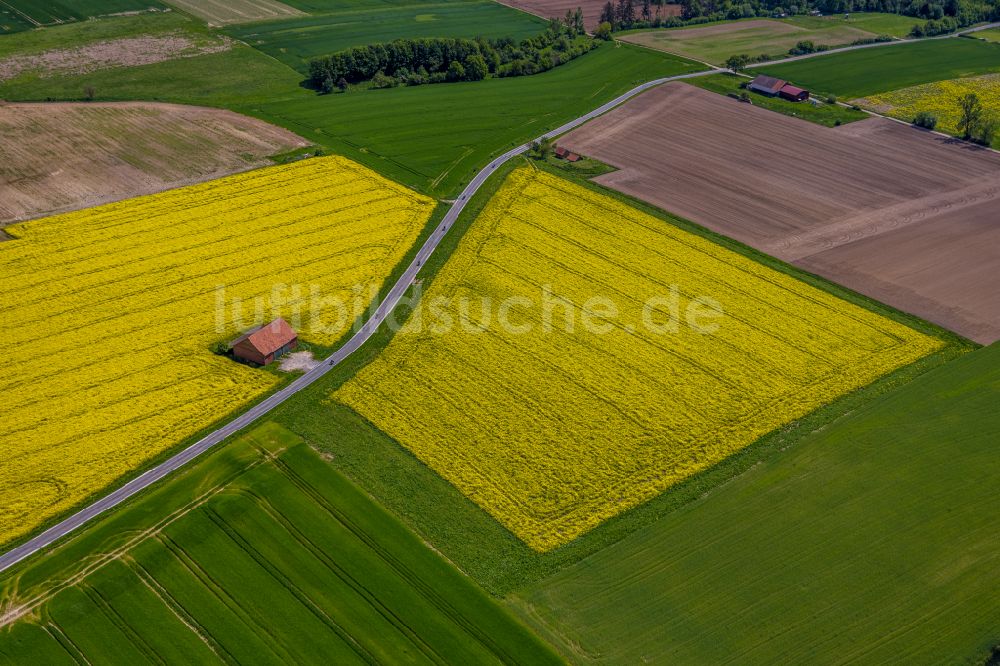 Luftbild Borgholz - Feld- Landschaft gelb blühender Raps- Blüten in Borgholz im Bundesland Nordrhein-Westfalen, Deutschland