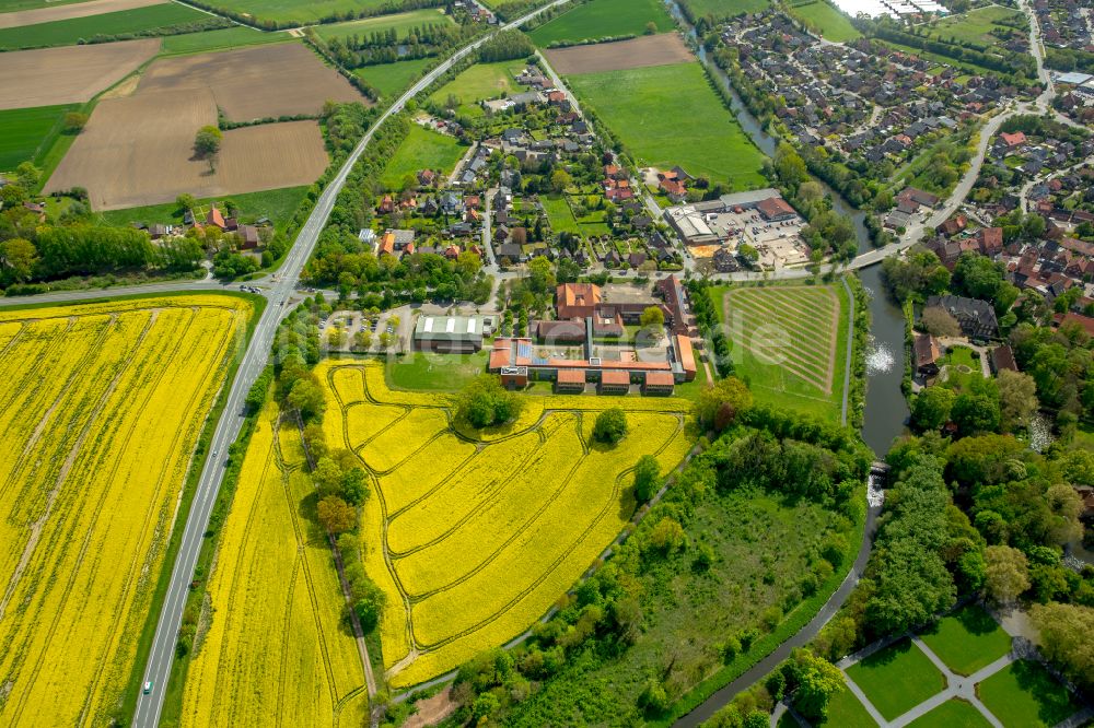 Drensteinfurt aus der Vogelperspektive: Feld- Landschaft gelb blühender Raps- Blüten in Drensteinfurt im Bundesland Nordrhein-Westfalen, Deutschland