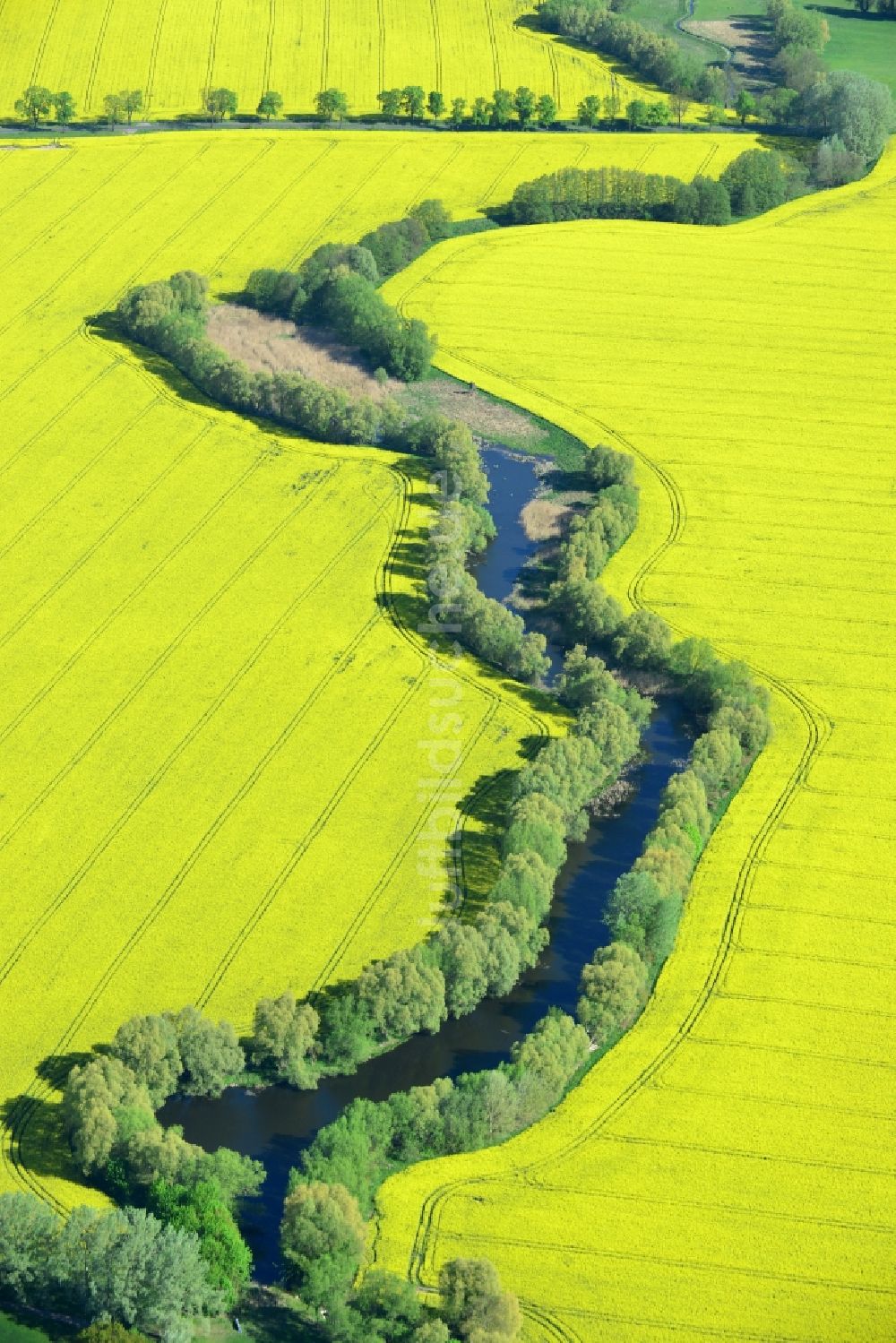 Altlandsberg von oben - Feld- Landschaft gelb blühender Raps- Blüten an einem Wassergraben bei Altlandsberg im Bundesland Brandenburg