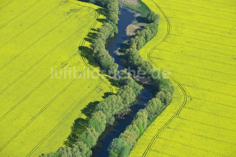 Altlandsberg aus der Vogelperspektive: Feld- Landschaft gelb blühender Raps- Blüten an einem Wassergraben bei Altlandsberg im Bundesland Brandenburg