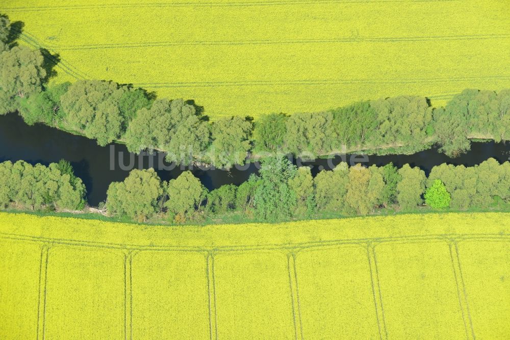 Luftaufnahme Altlandsberg - Feld- Landschaft gelb blühender Raps- Blüten an einem Wassergraben bei Altlandsberg im Bundesland Brandenburg